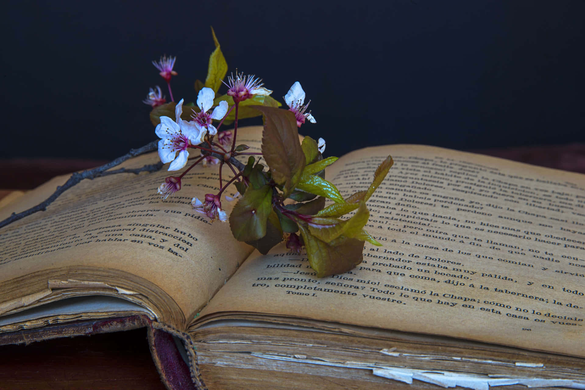 An Old Book With A Flower On It
