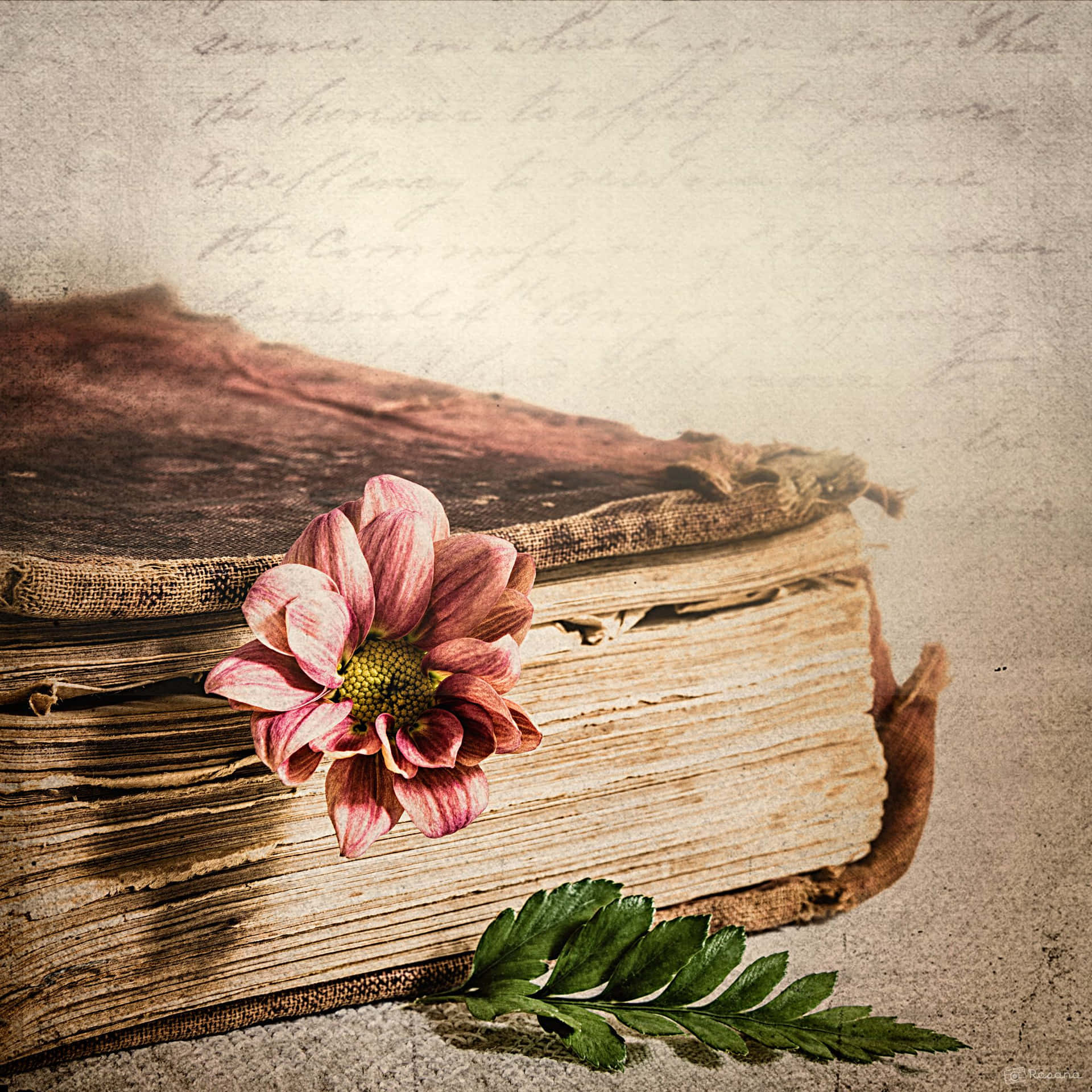 A Book With A Flower