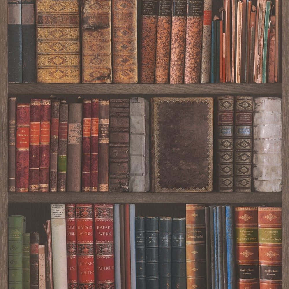 Assorted Titles Of Books In Bookshelf Background For Desktop Background