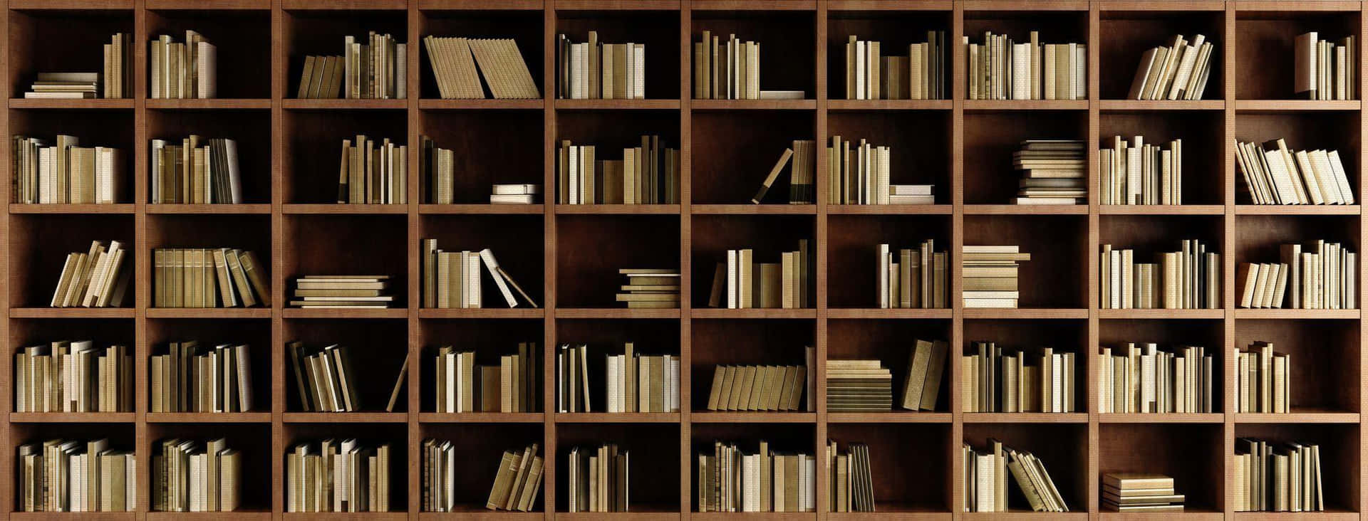 Bookshelf Ultrawide Picture