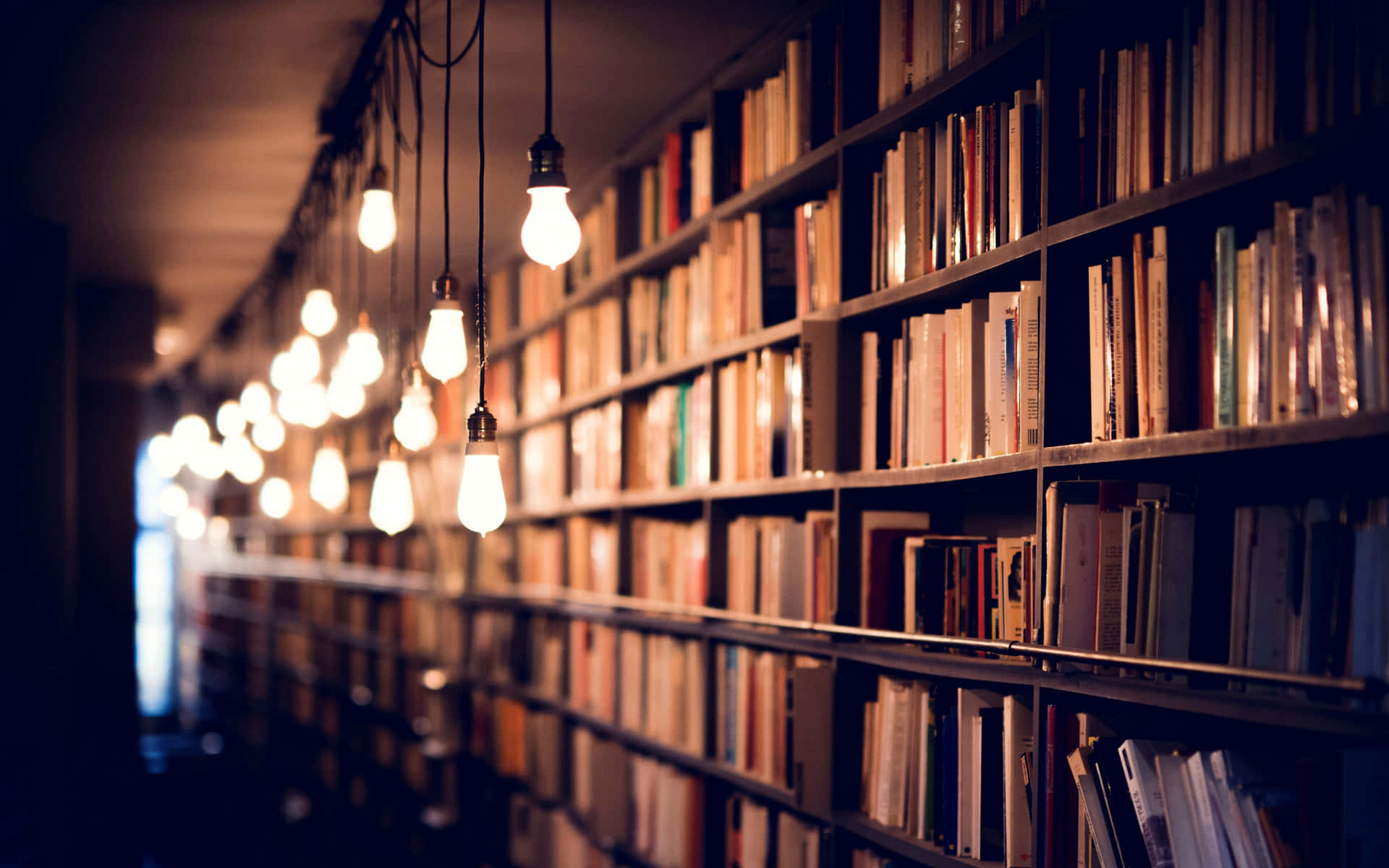 Bücherregalmit Aufgehängten Glühbirnen Bild.