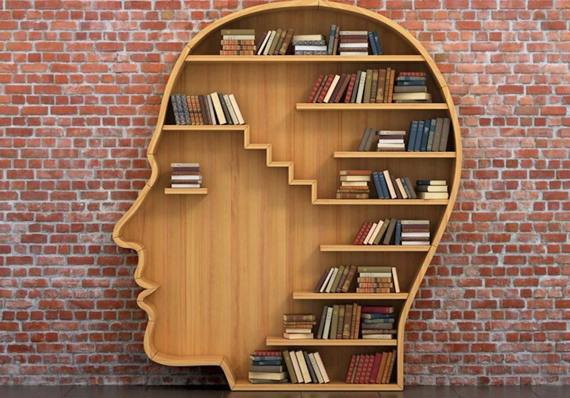 Human Head Bookshelf Picture