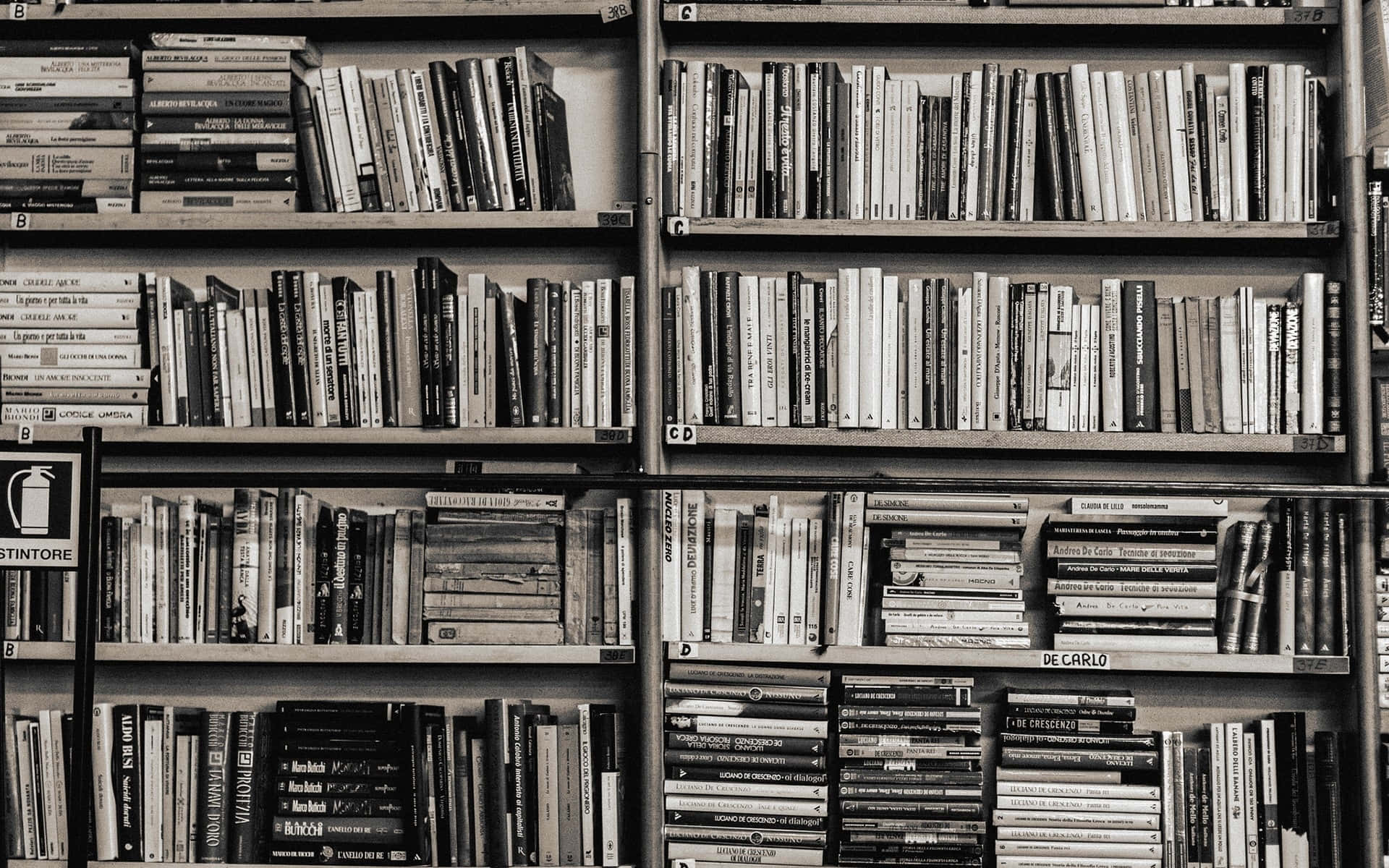 Immaginedi Una Libreria In Bianco E Nero