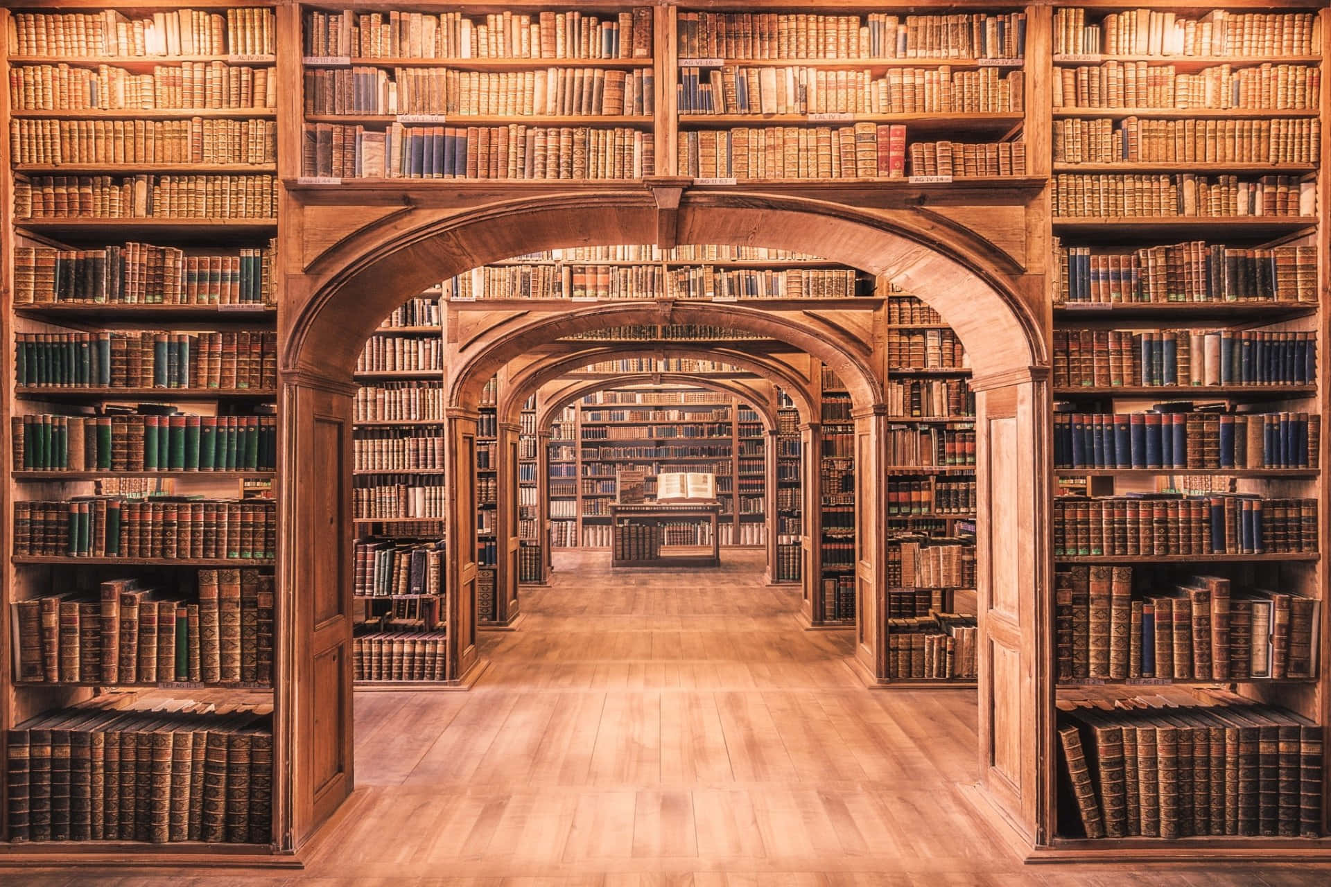 Hall Of Bookshelf Picture