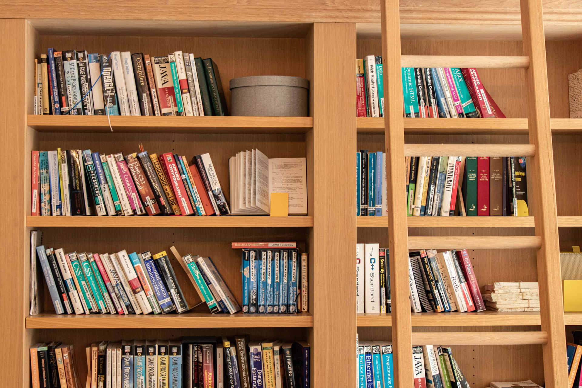 A Virtual Shelf Perfect for Book Lovers and Zoomers