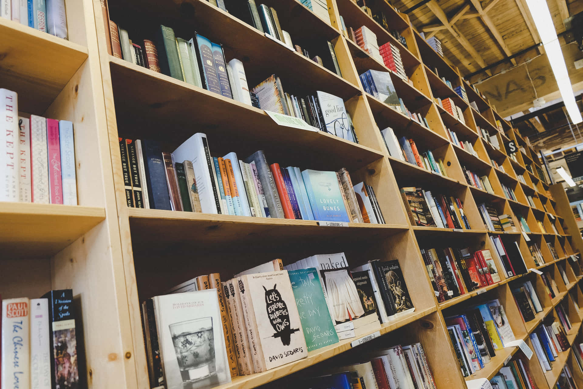 ¡mantenteorganizado Y Descubre La Alegría De Aprender Con Bookshelf Zoom!