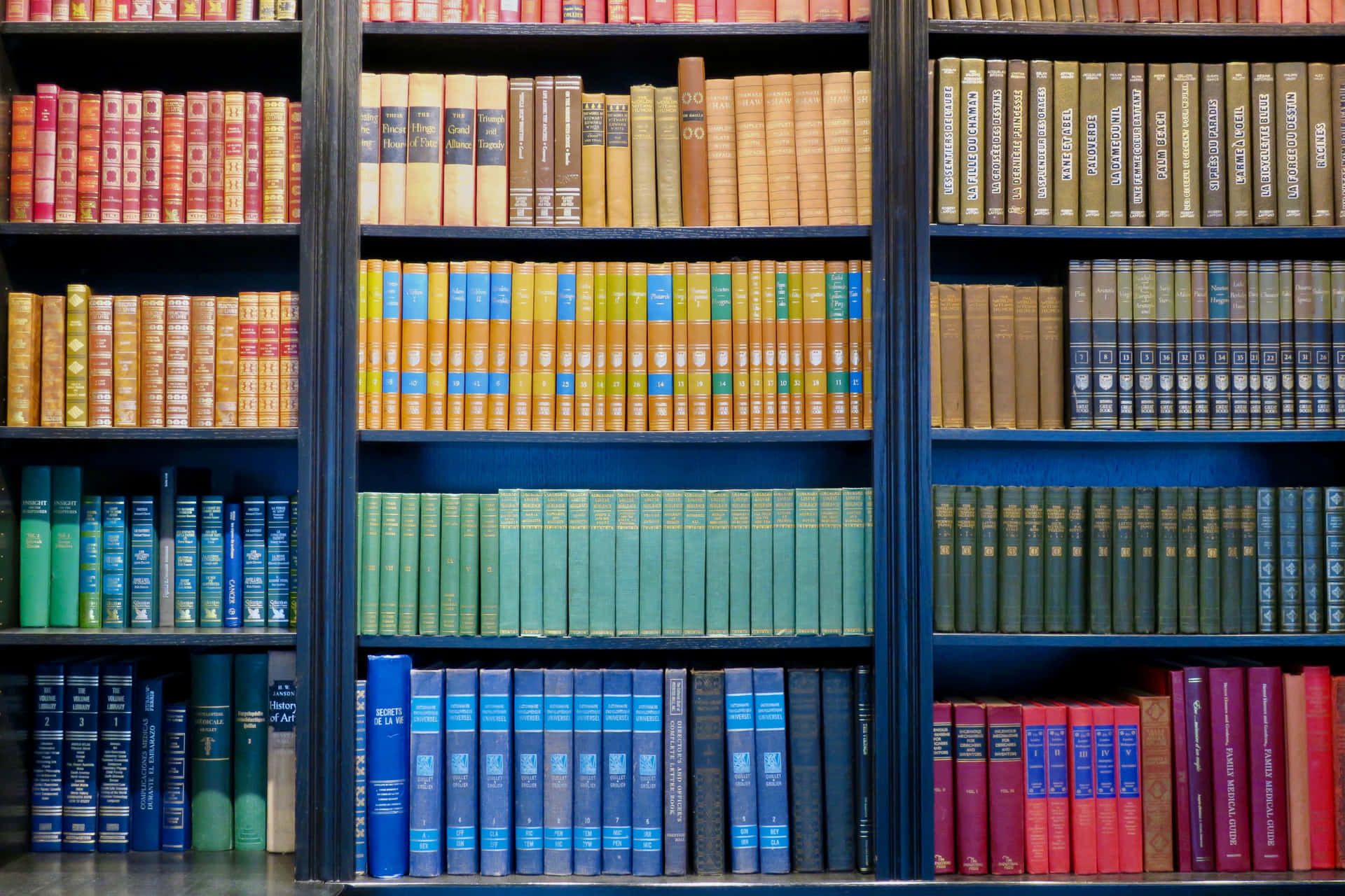 An Organized Bookshelf with an Elegant Zoom Background