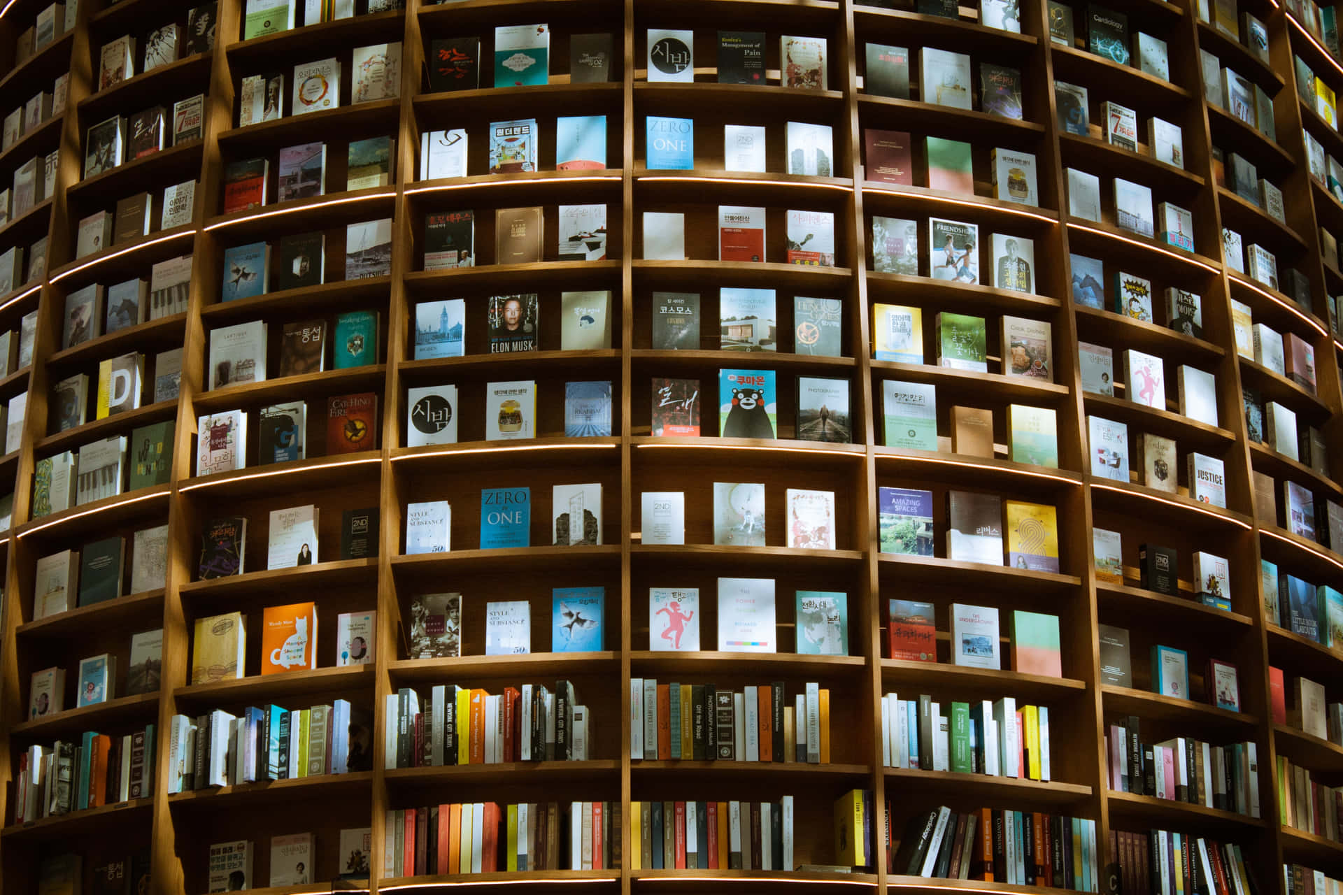 Библиотека классов c. Wooden Brown Green Bookshelf. Booksellers. Electronic Literature as World Literature.