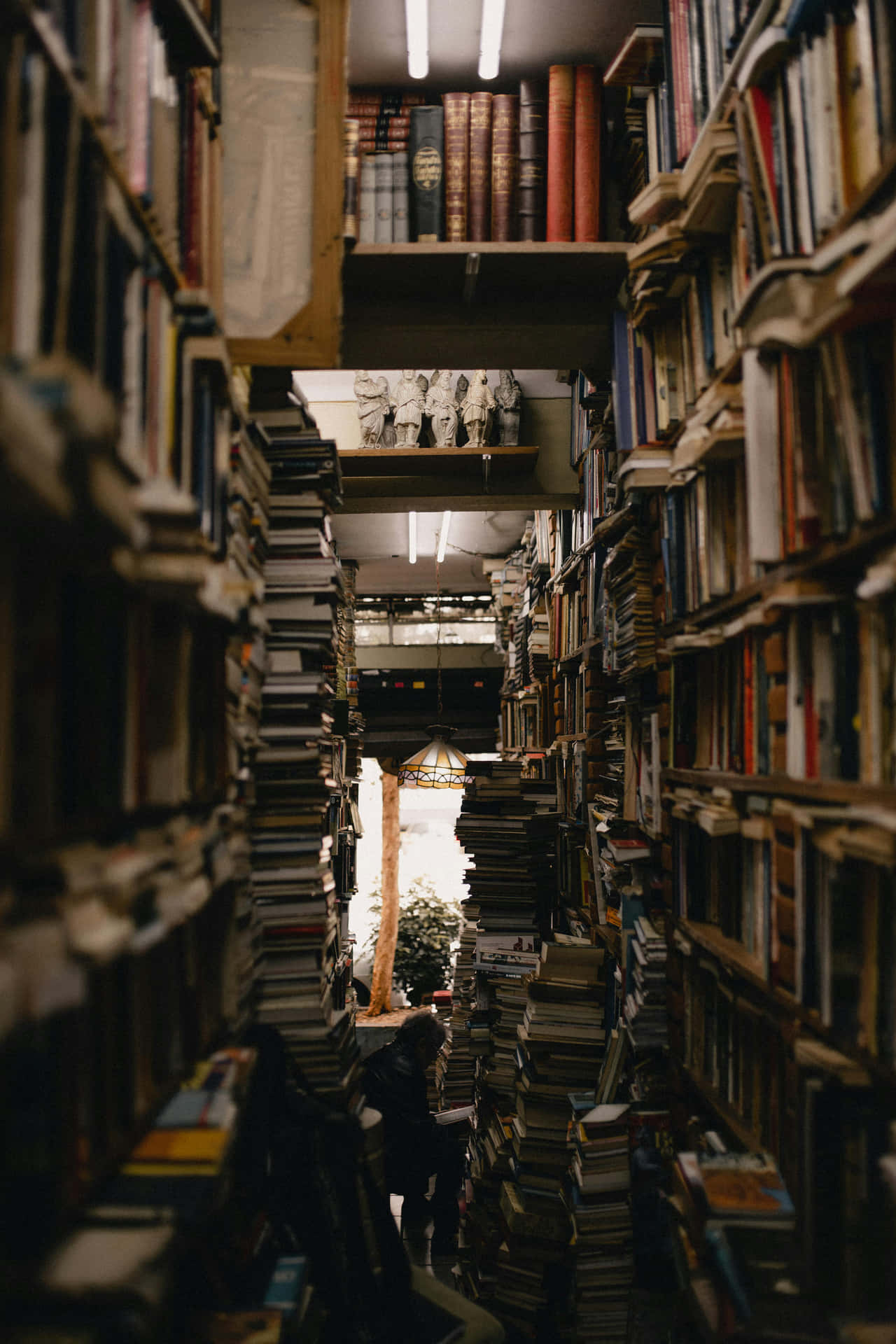 Bookstore Corridor_ Academia Aesthetic Wallpaper