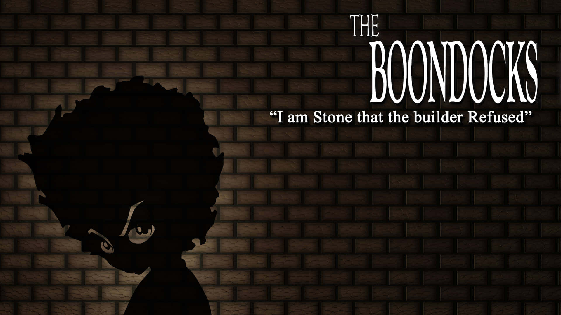All the crazy adventures of The Boondocks.