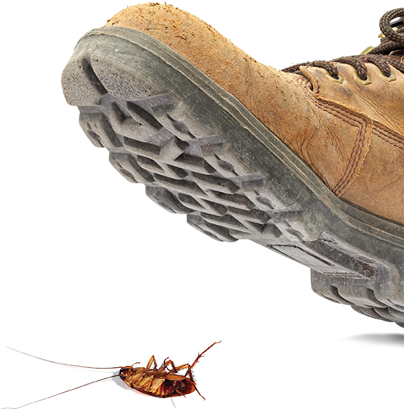 Boot Approaching Cockroach PNG