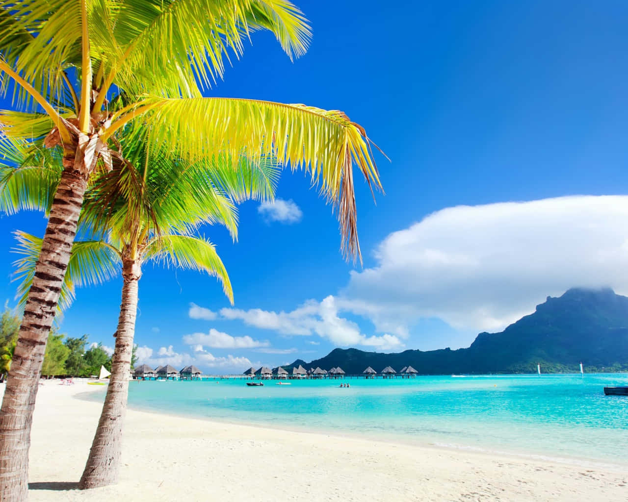 Disfrutade Unas Vacaciones Tropicales En La Mágica Bora Bora. Fondo de pantalla
