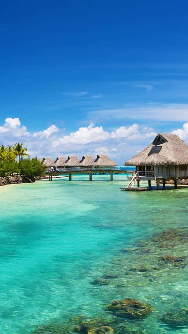 Espectacularvista En La Exótica Isla De Bora Bora Fondo de pantalla