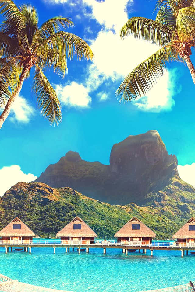 Deter Paradis På Jorden: Bora Bora. Wallpaper