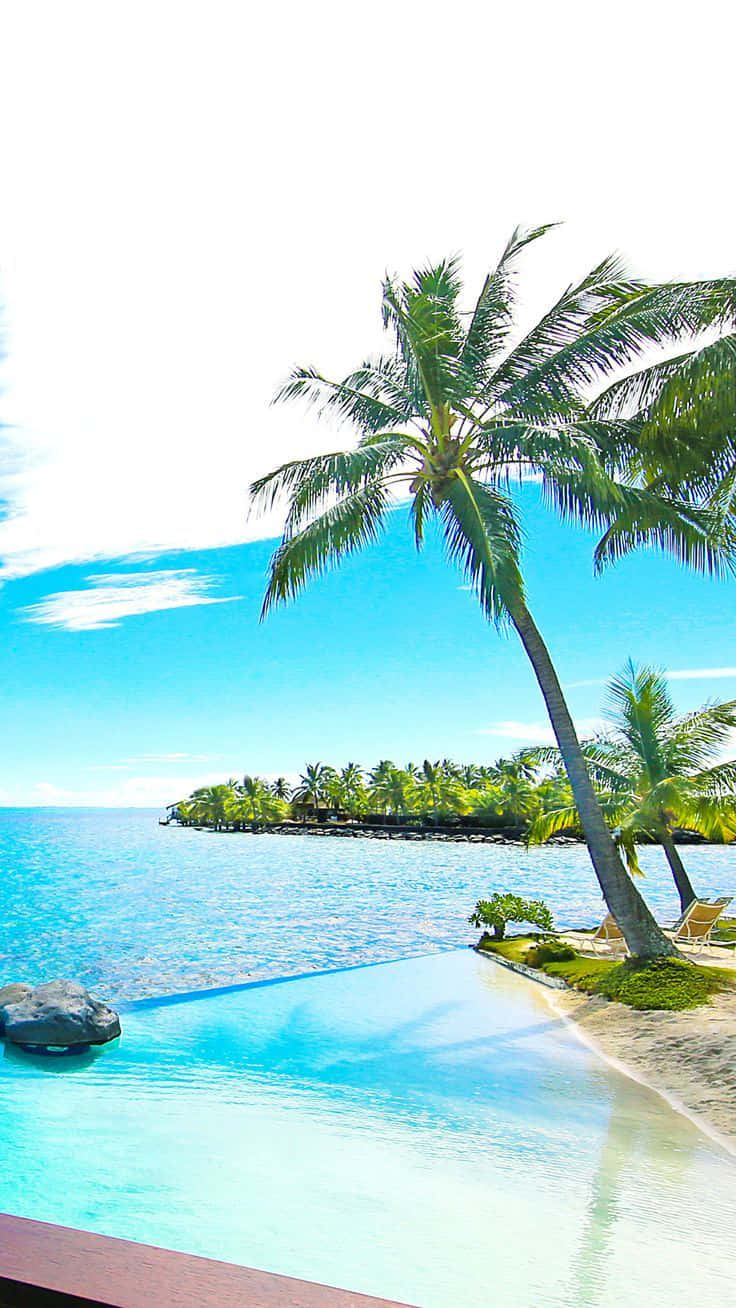 Bora Bora 736 X 1308 Wallpaper Wallpaper