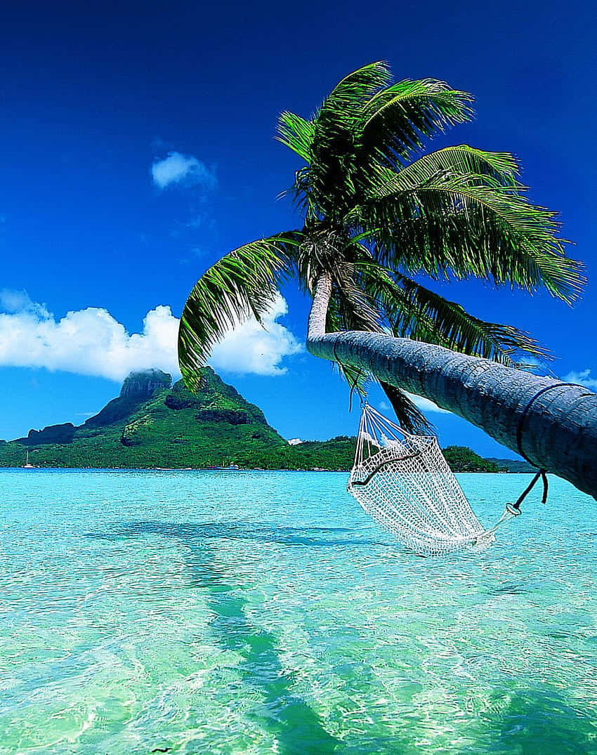 Labelleza De Bora Bora Capturada Perfectamente Fondo de pantalla