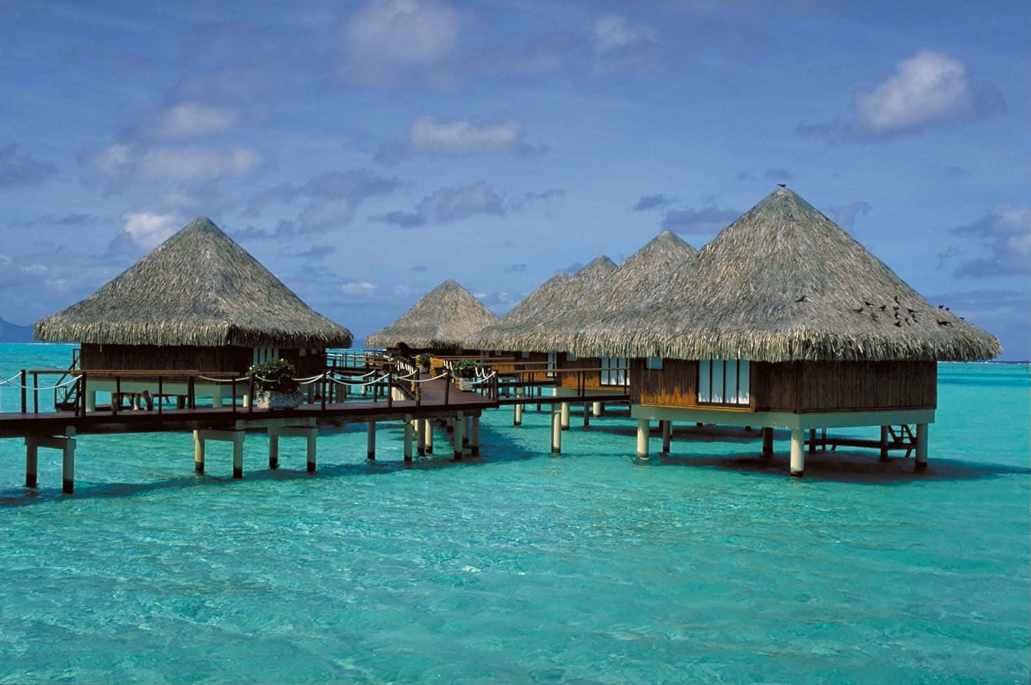 Overwater bungalows at breathtaking Bora Bora Beach Wallpaper