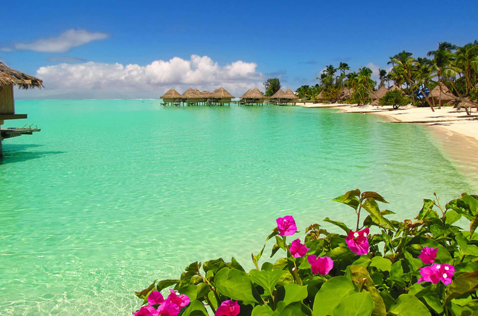 Breathtaking Bora Bora beach with stunning turquoise waters Wallpaper