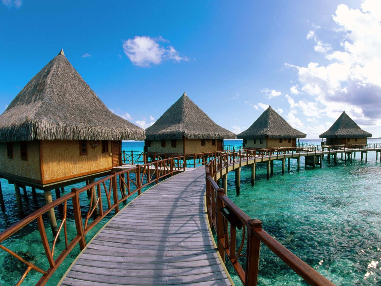 Tak den betagende udsigt til lagune og bjerge fra øen Bora Bora i Fransk Polynesien.