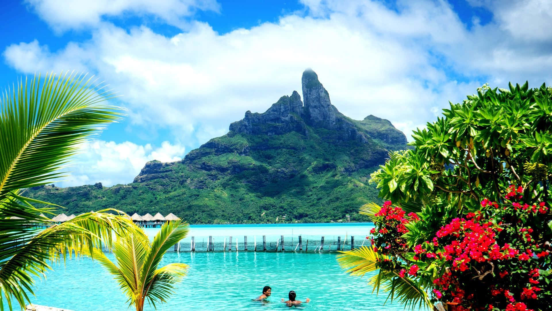 Erkundedas Tropische Paradies Von Bora Bora.