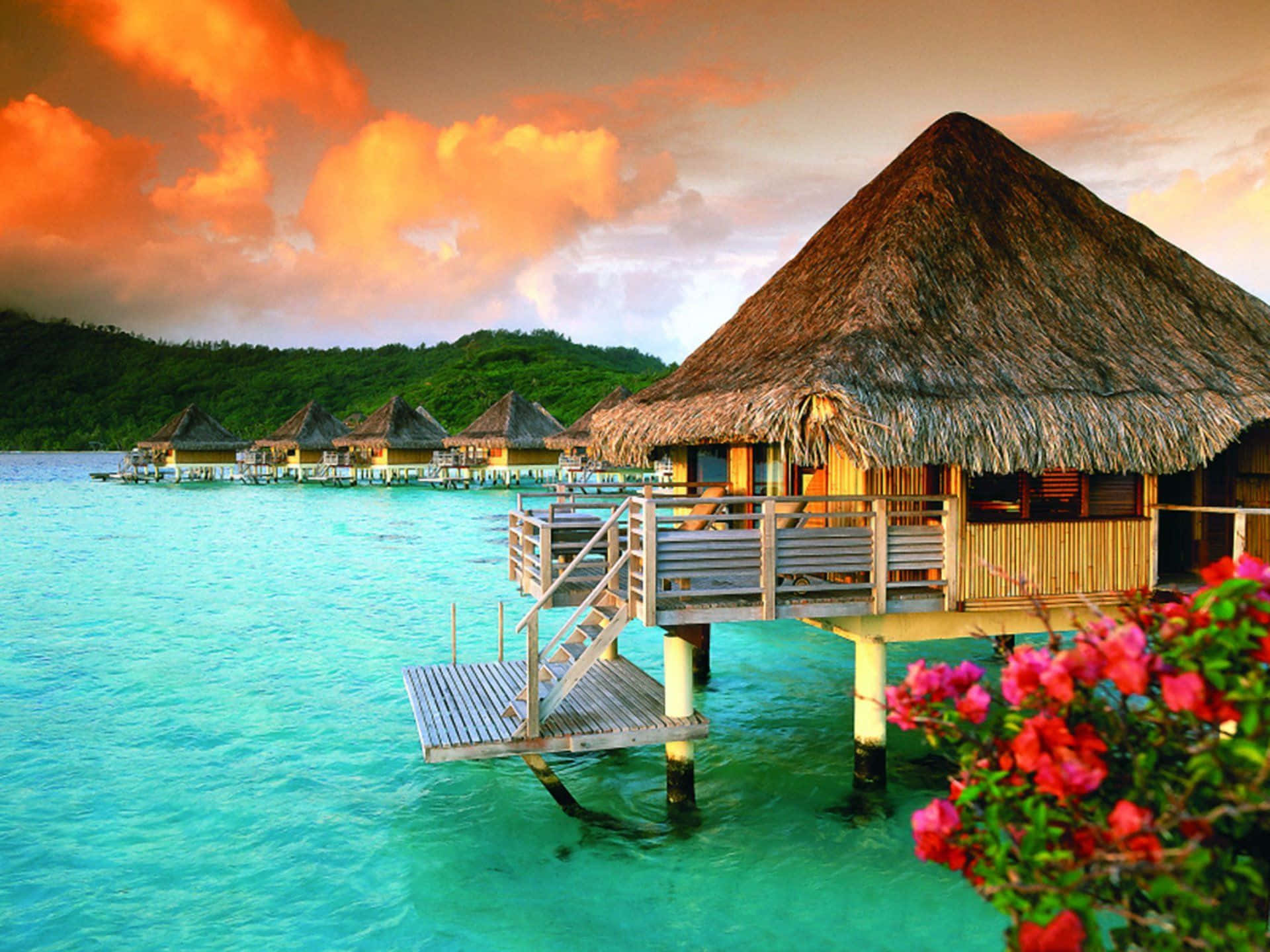 A Hut On The Ocean With Flowers And A Sunset