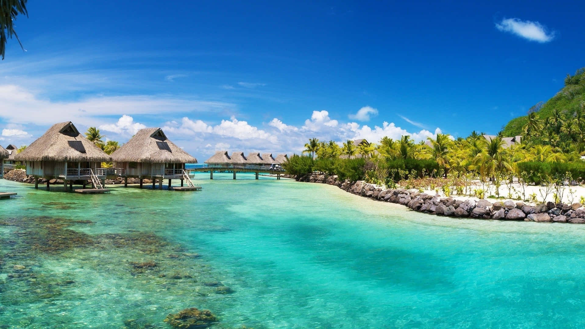Sonnenverwöhnterurlaub Auf Der Atemberaubenden Insel Bora Bora