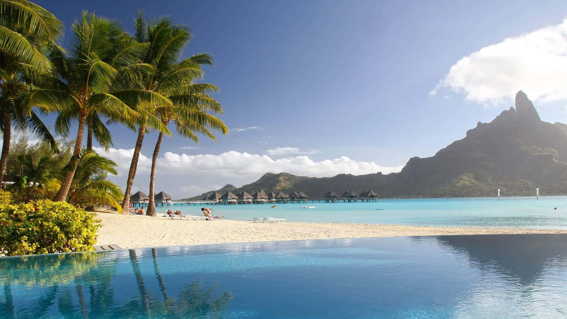et svømmebassin med palmer og en strand