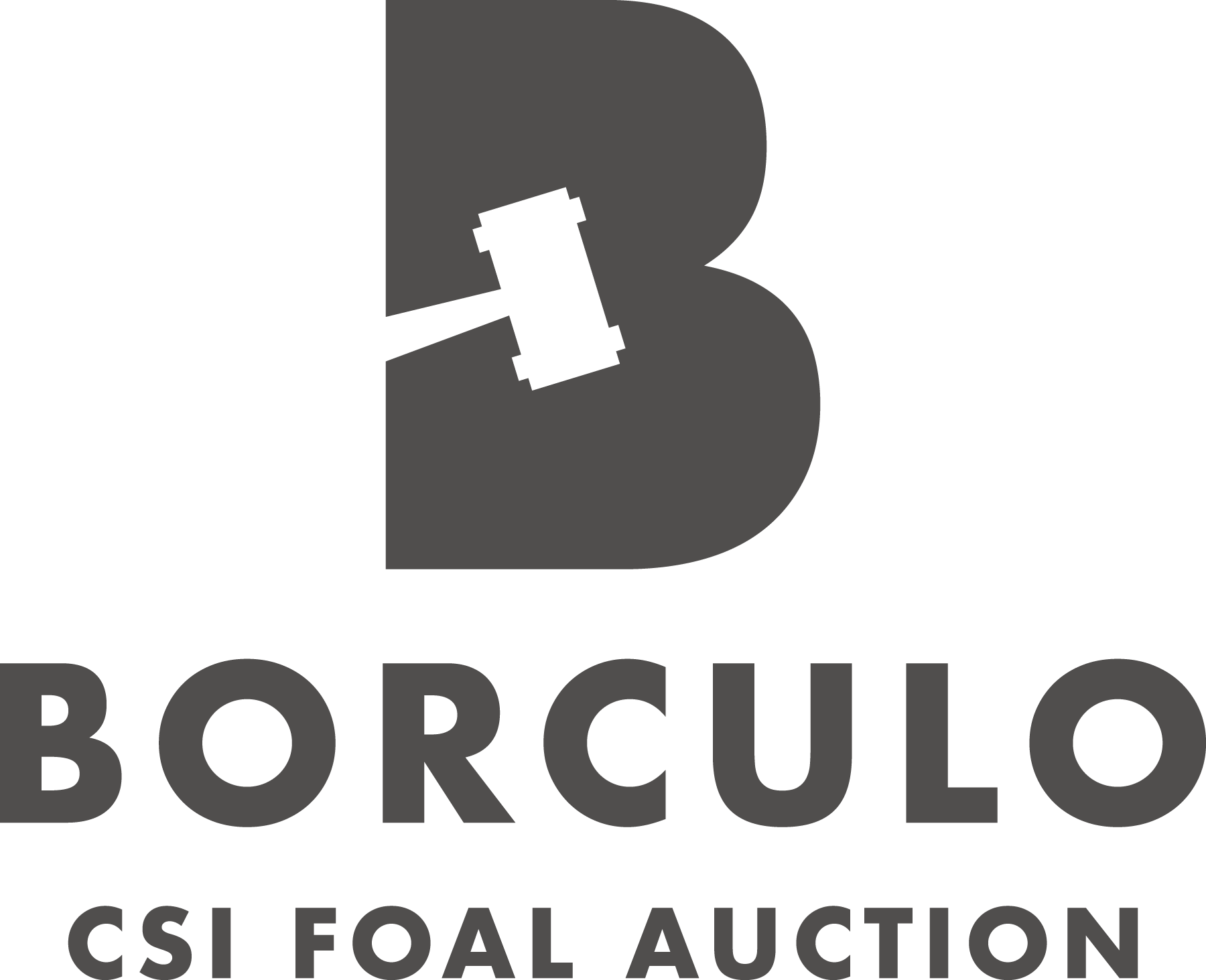Borculo C S I Foal Auction Logo PNG