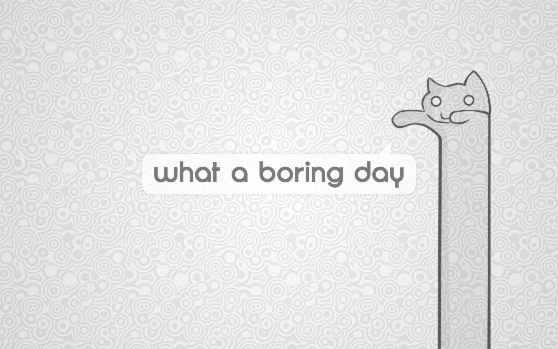 Boring Day Cartoon Cat Art Wallpaper