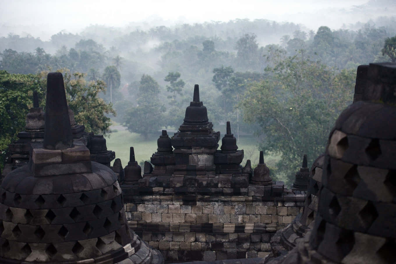 Iltempio Di Borobudur Coperto Di Nebbia Tra Gli Alberi Sfondo