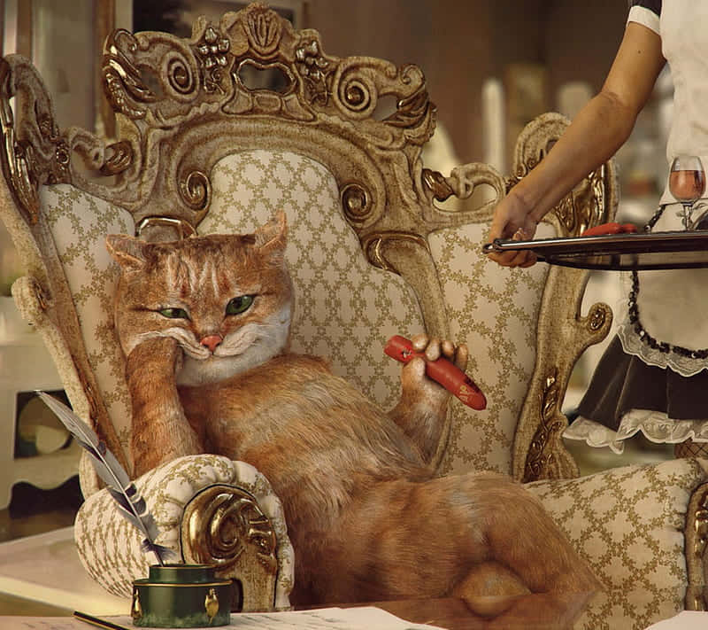 Boss Cat On Fancy Sofa Wallpaper