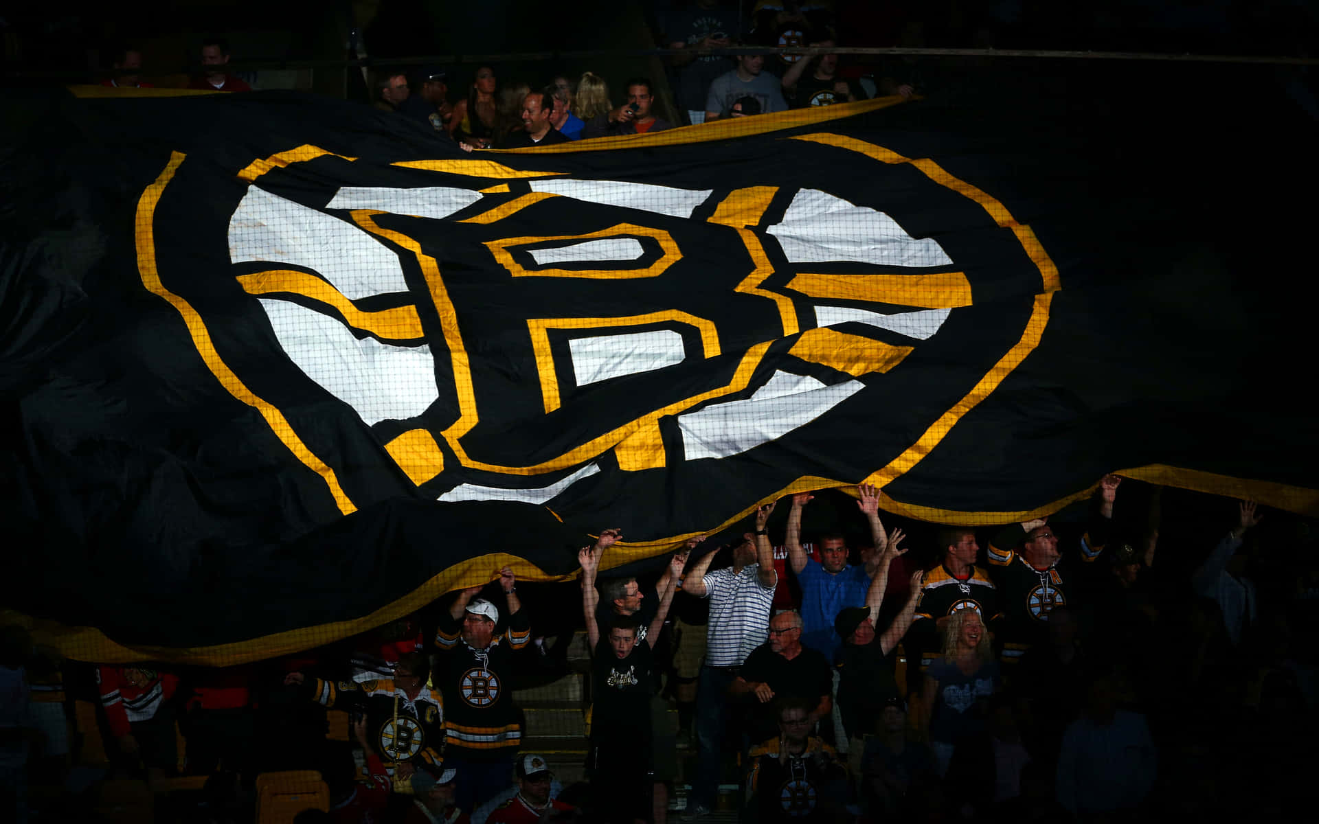 Boston Bruins Logo Wallpaper