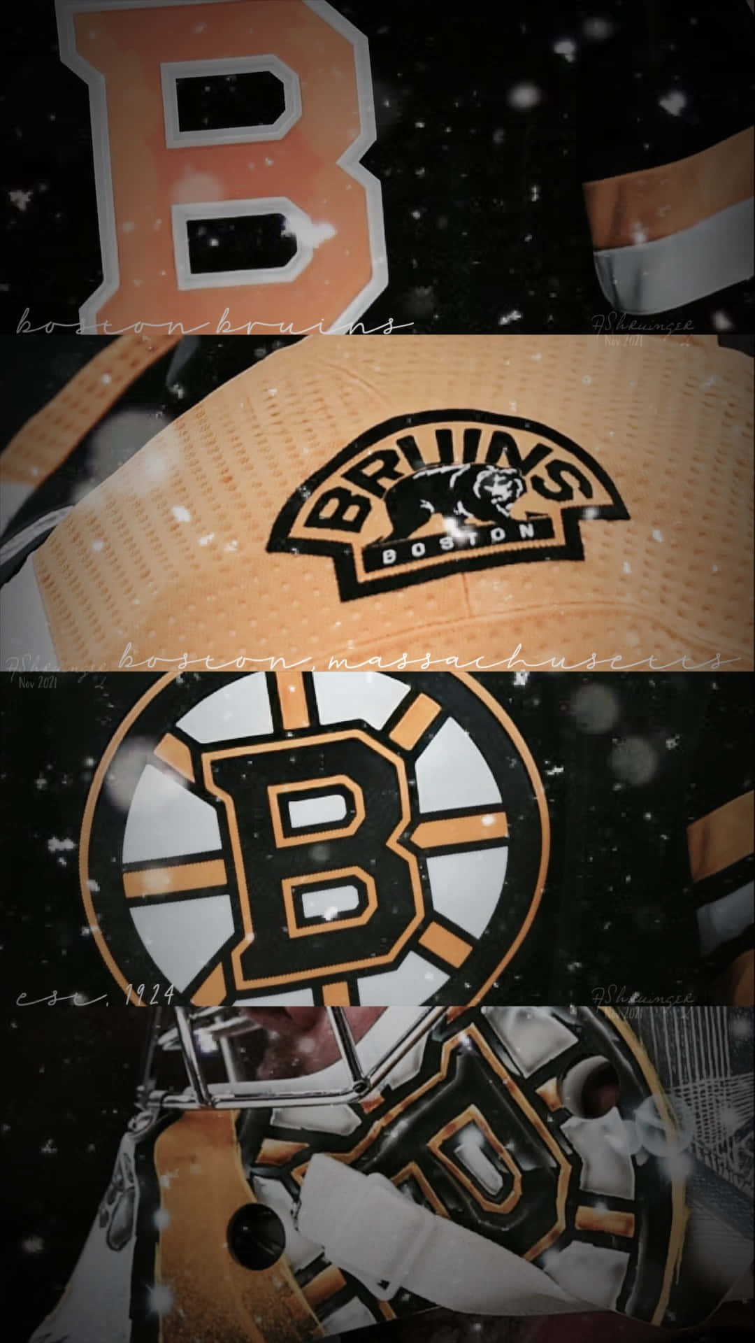 The Boston Bruins bring years of success to the ice