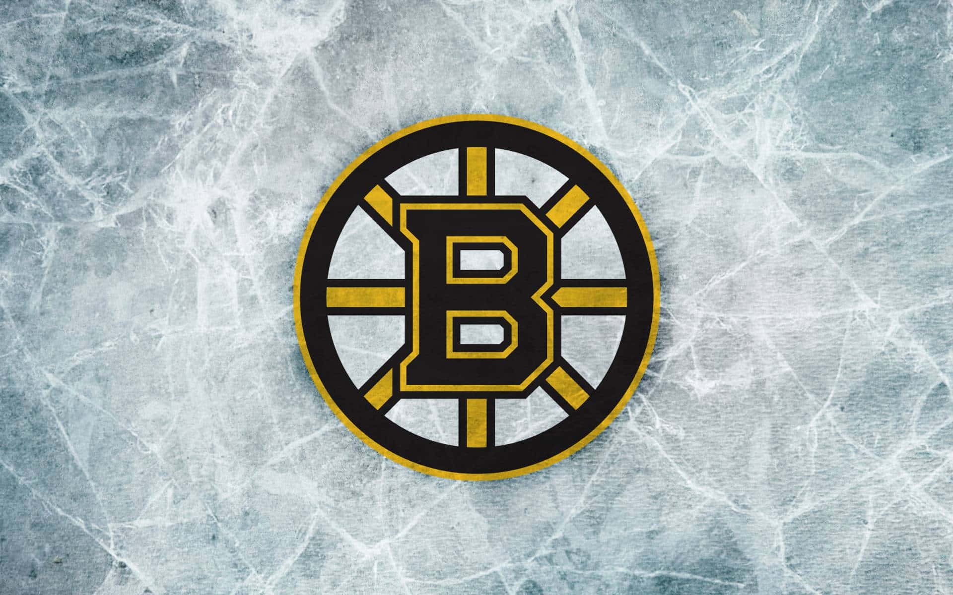 Oplevspændingen Med Boston Bruins.