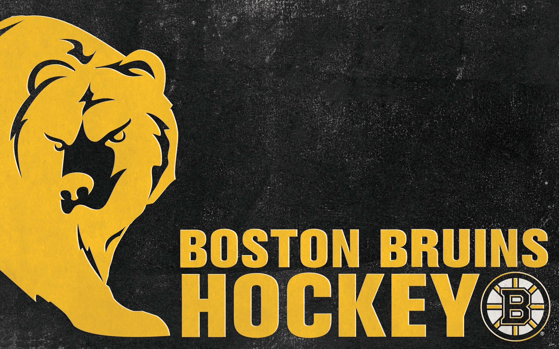 Cheer on Your Boston Bruins