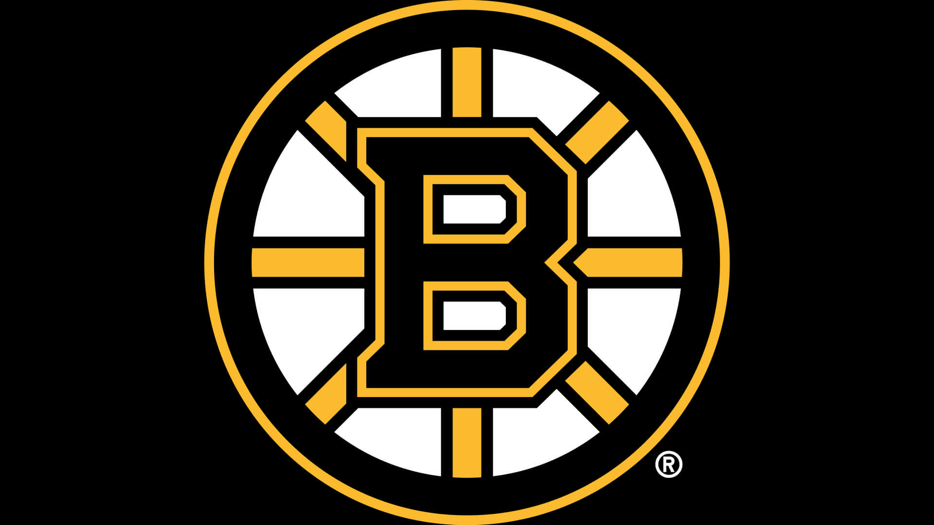 The Boston Bruins proudly display their colors on the ice.