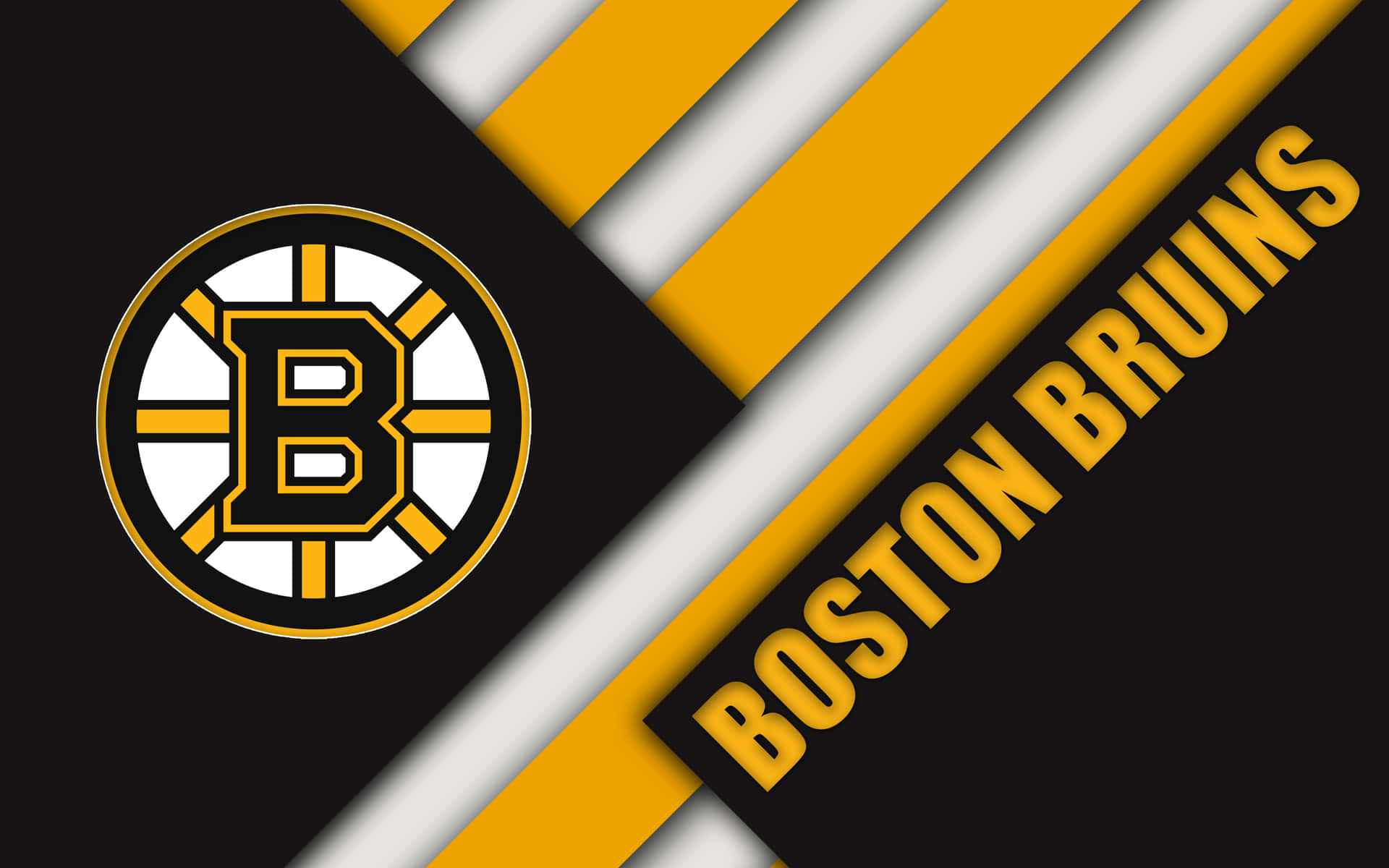 The Boston Bruins Champions Team