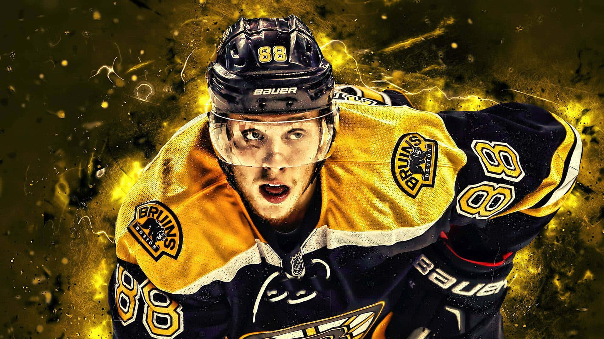 Download The Boston Bruins Ready for Another Triumphant Year