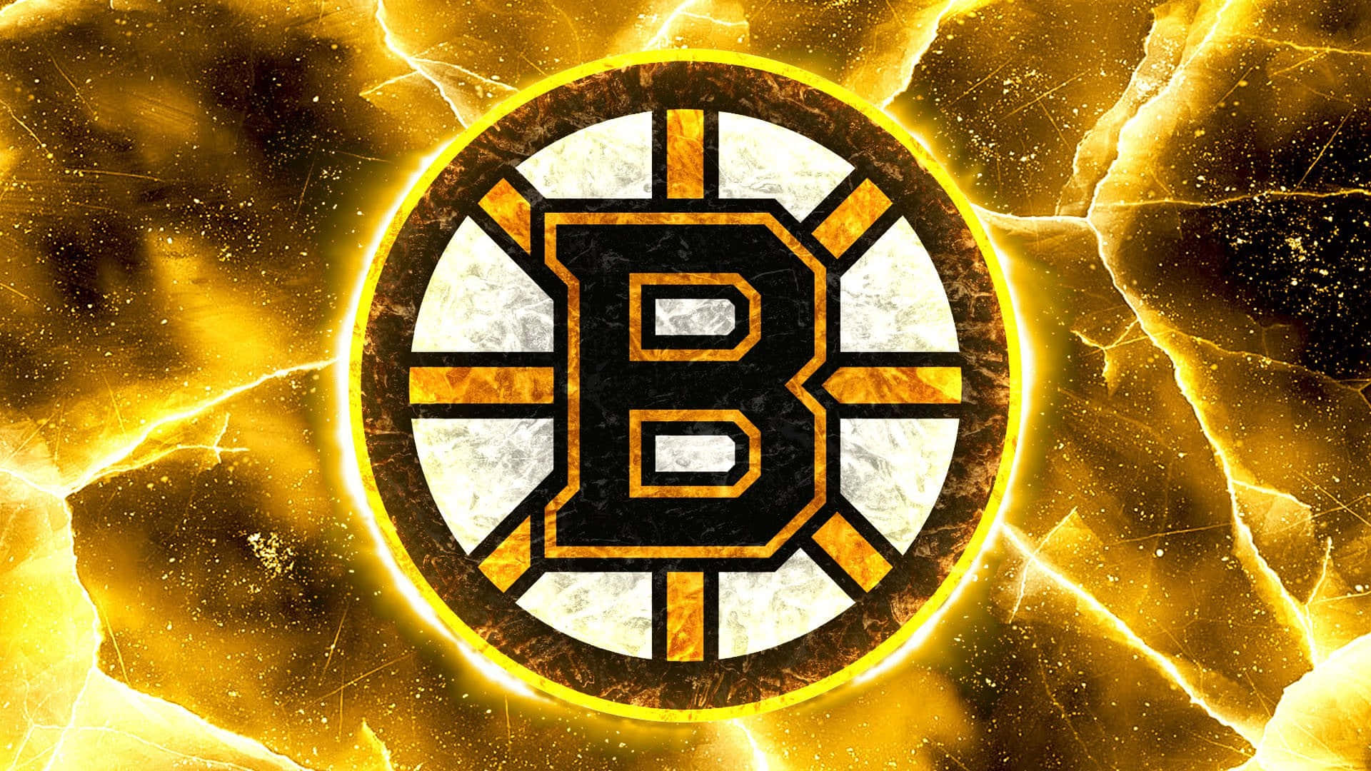 The Boston Bruins are passionate about the game