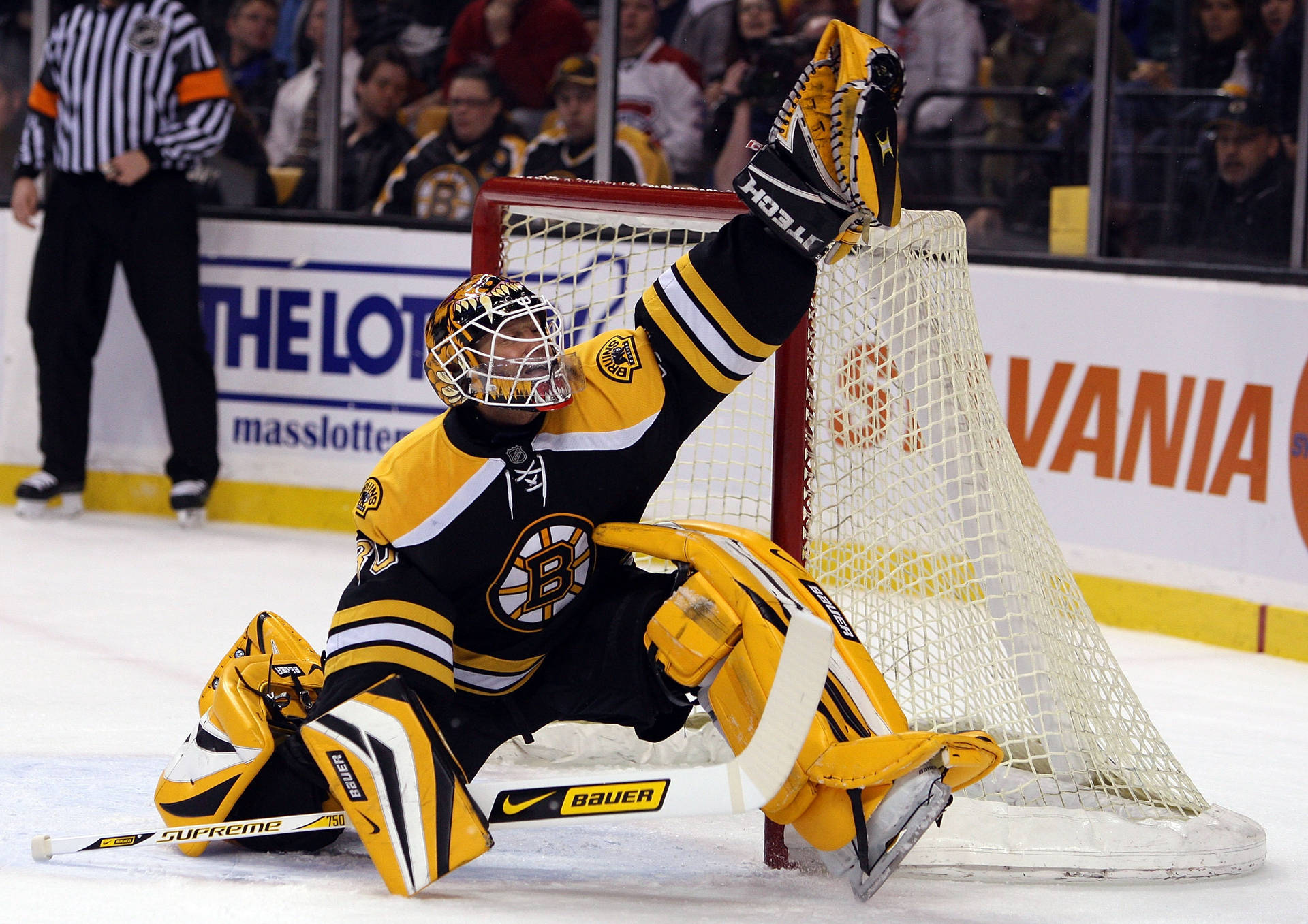 Top 999+ Boston Bruins Wallpaper Full HD, 4K✅Free to Use