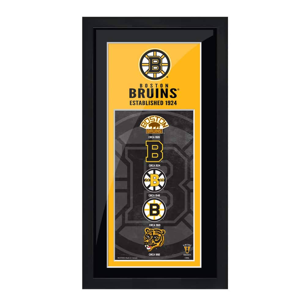 Evoluzionedel Logo Dei Boston Bruins. Sfondo