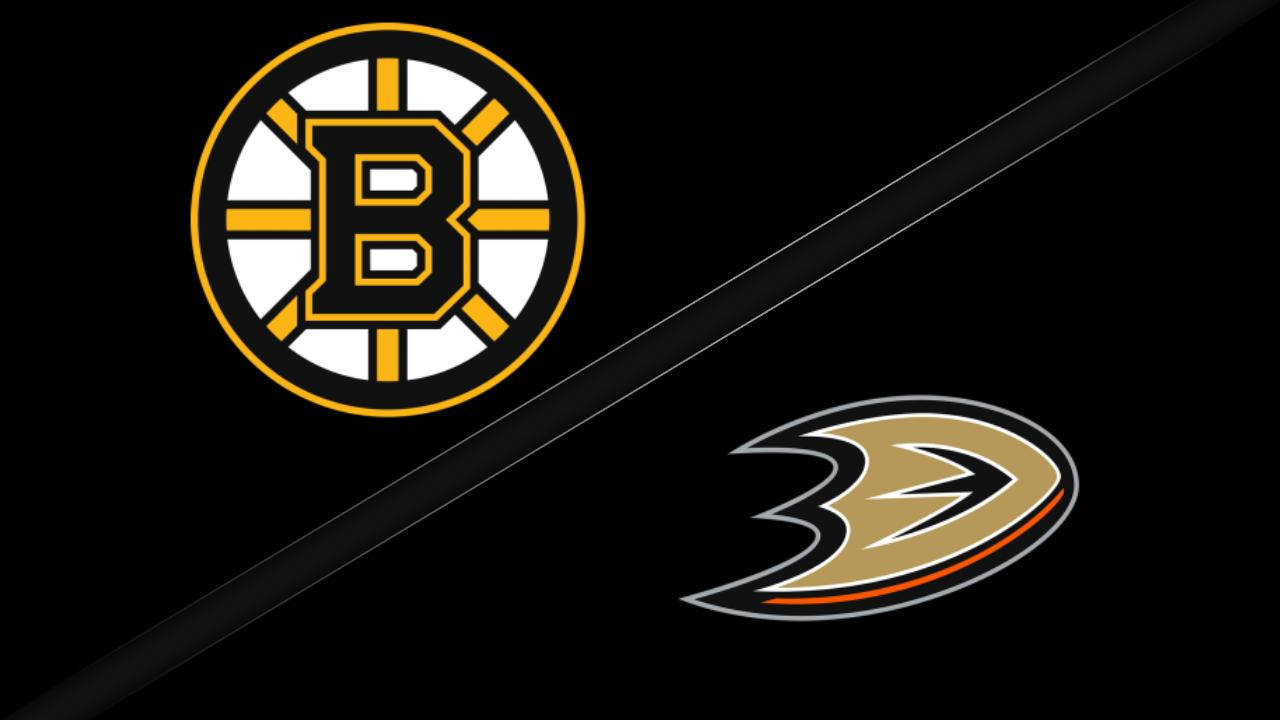 Oicônico Logo Dos Boston Bruins. Papel de Parede