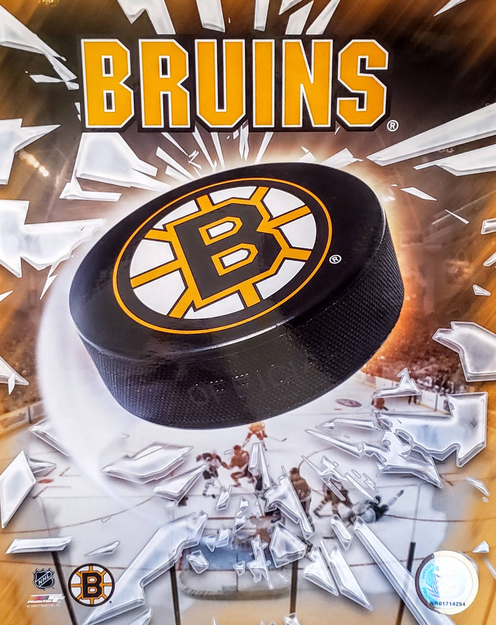 Logodei Boston Bruins Su Una Palla Da Hockey Sfondo