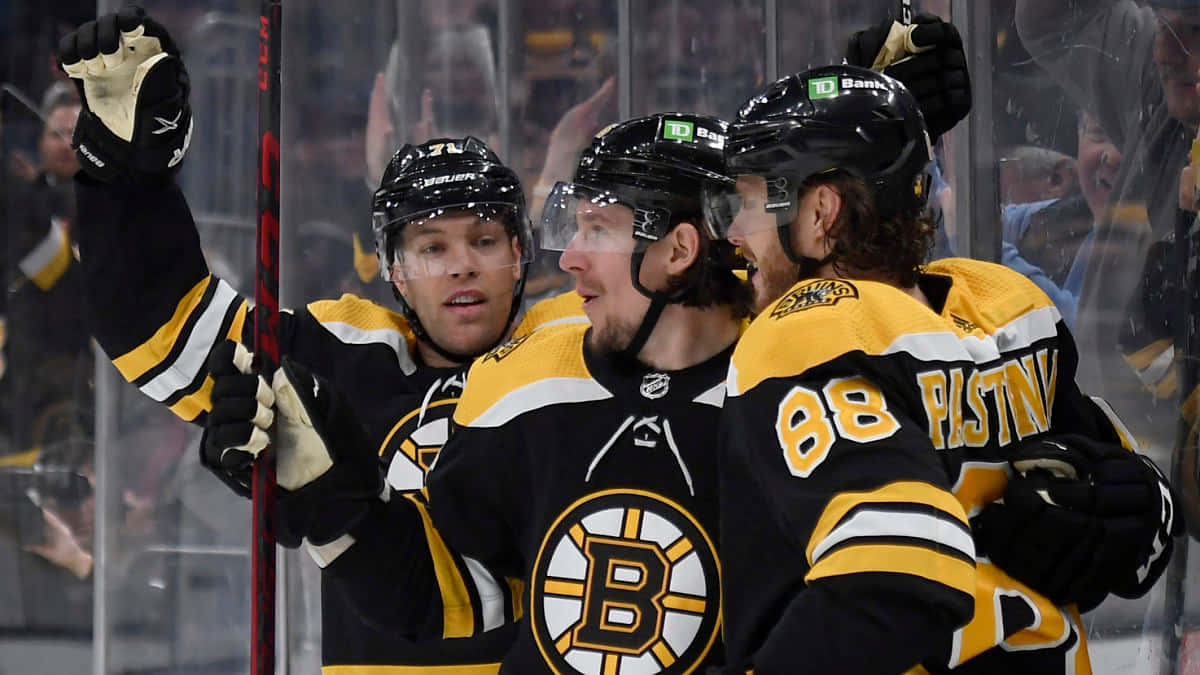 Boston Bruins Players Celebratingon Ice Wallpaper