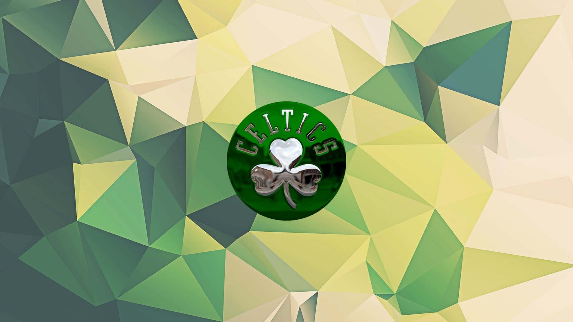 The Boston Celtics - Passionately Defying the Odds
