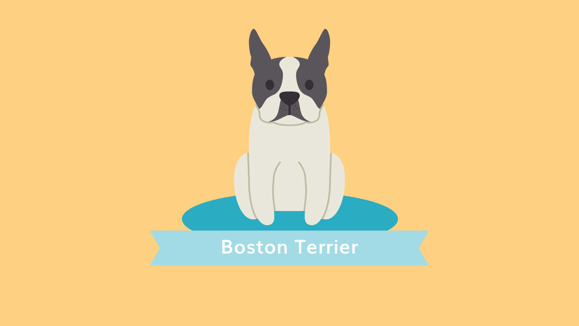 Sötkonst Bild På En Boston Terrier.