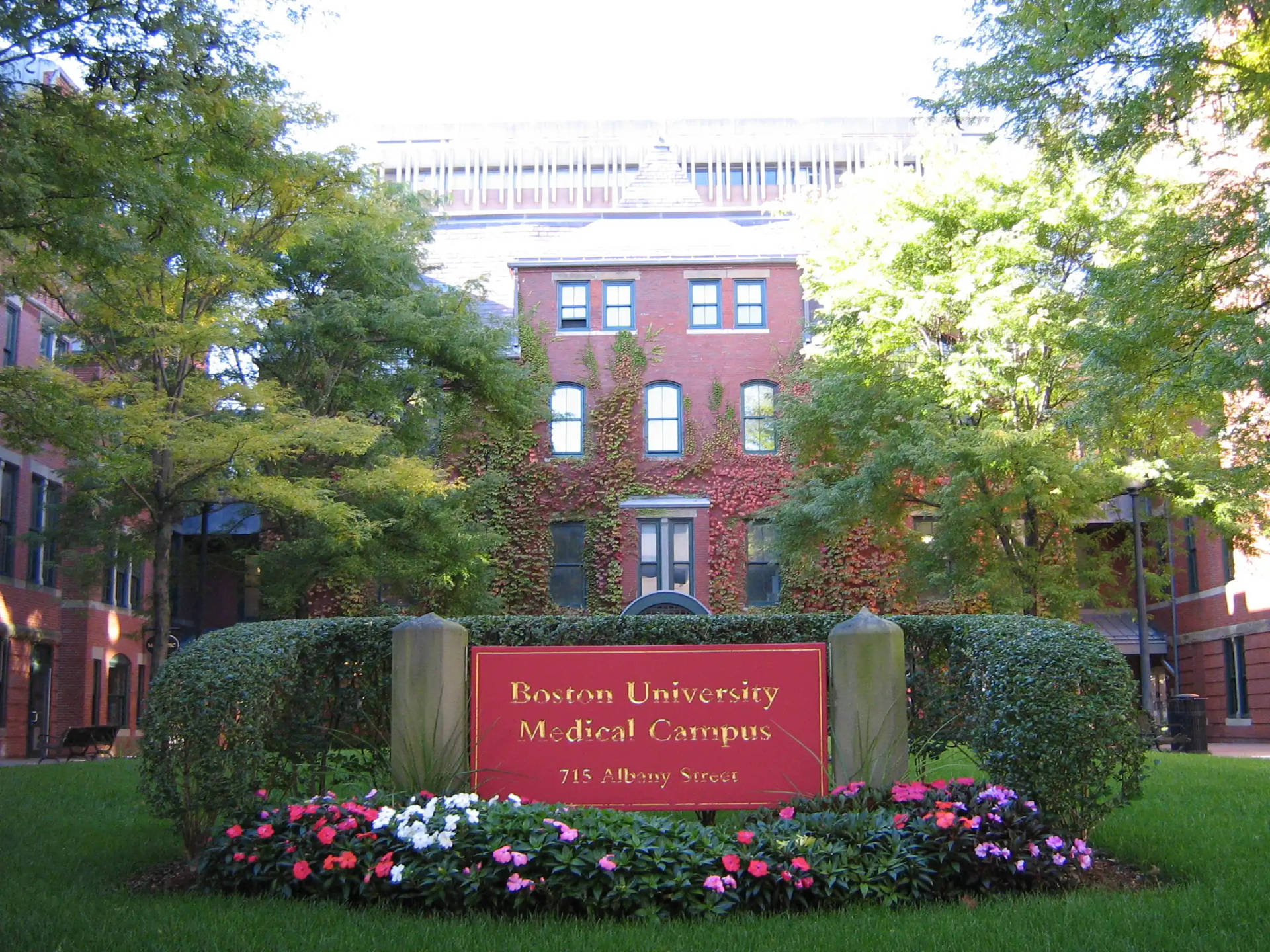 Boston University Medical Campus Sign Wallpaper