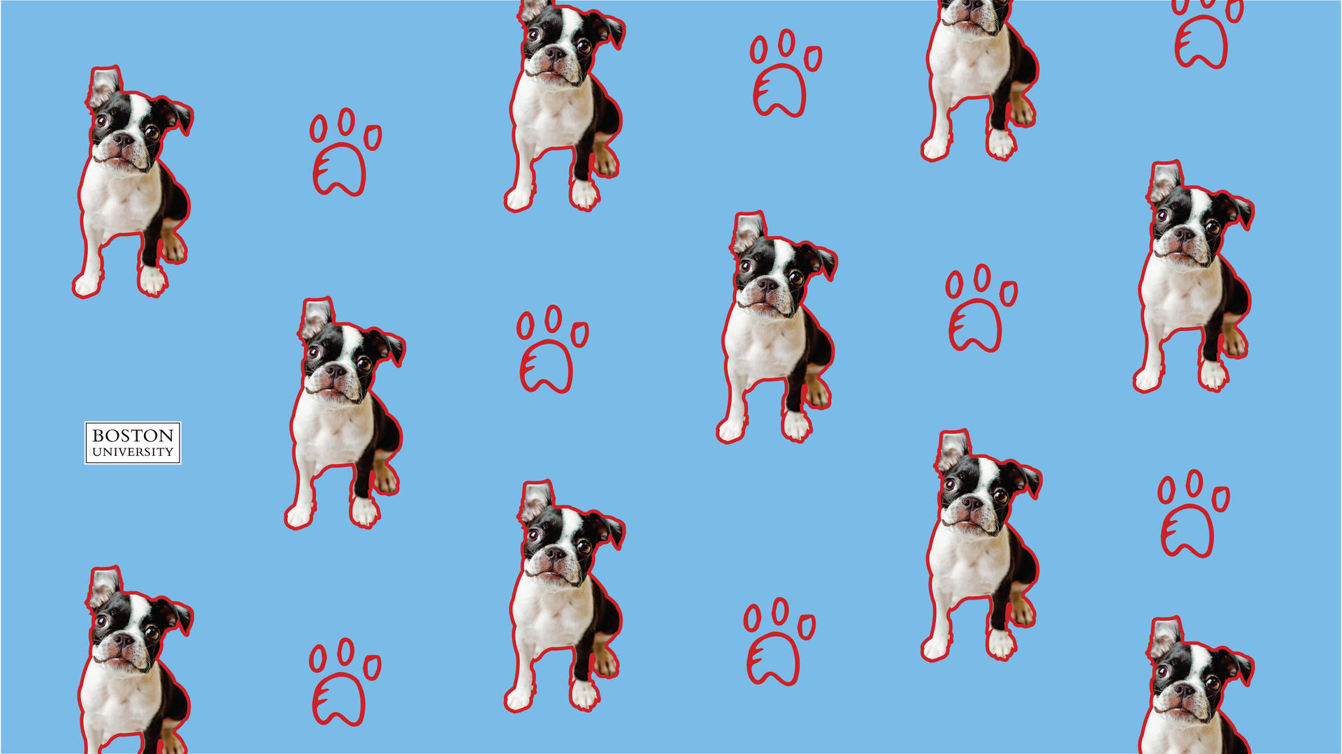 Boston University Terriers Wallpaper