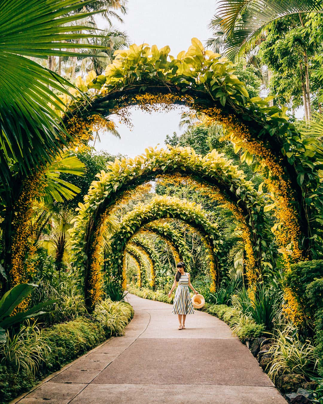 Botanic_ Garden_ Floral_ Archway_with_ Visitor.jpg Wallpaper