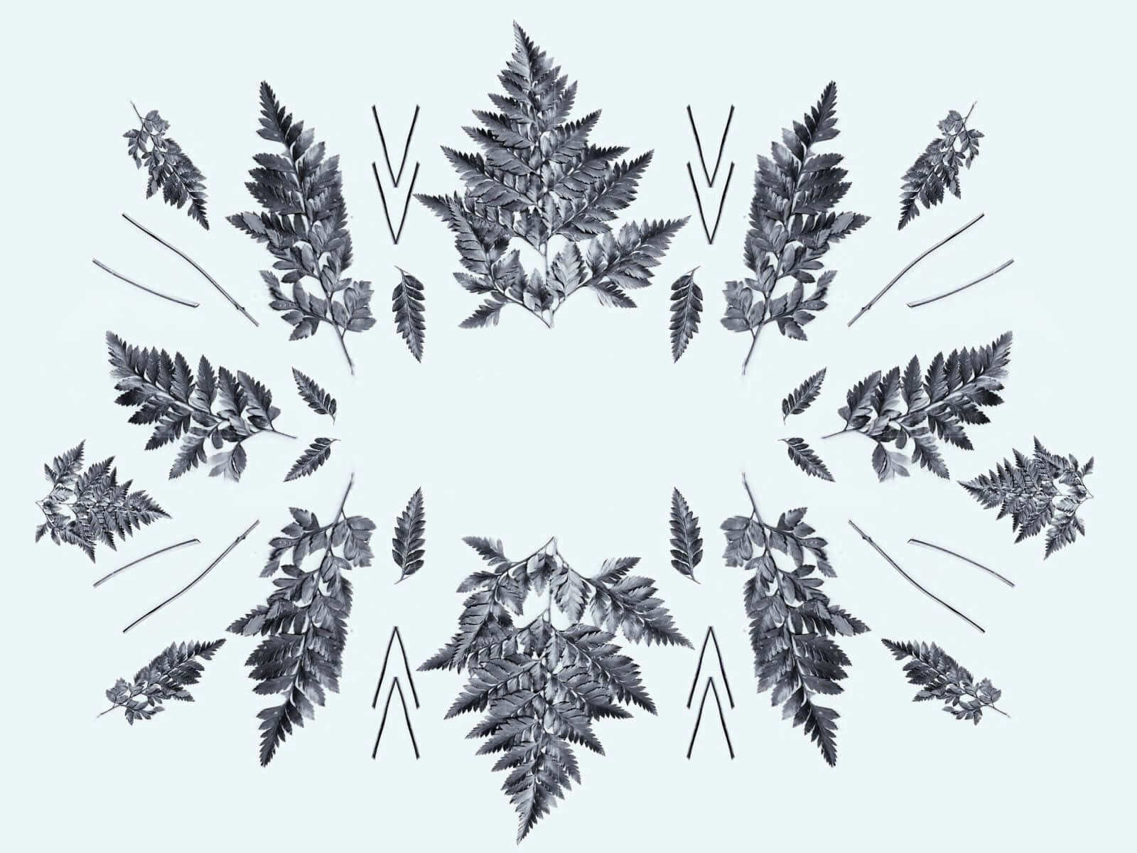 Image  Brilliant Botanical Patterns Wallpaper